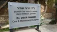 ד"ר דרור שמיר מרפאת פה ולסת - בדיקת שיניים בחיפה