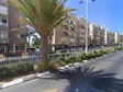 גרקולס דנט