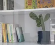 דר באסם אבו סאלח
