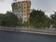 ד"ר רמי פטררו